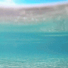 Visualizer